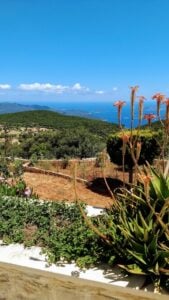 Villa Gurli Pool View