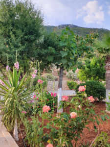 Villa Maria Kas Front Garden